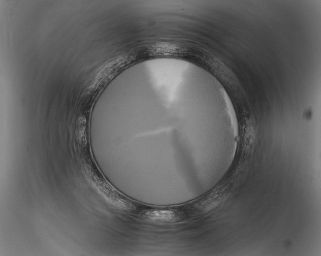 X0000116020361200912111357