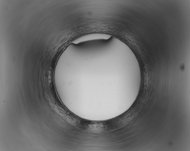 X0000116020362200912111357