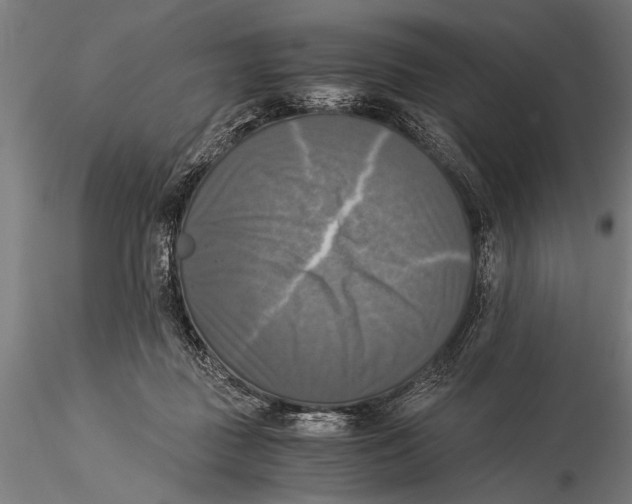 X0000116020363200912111357