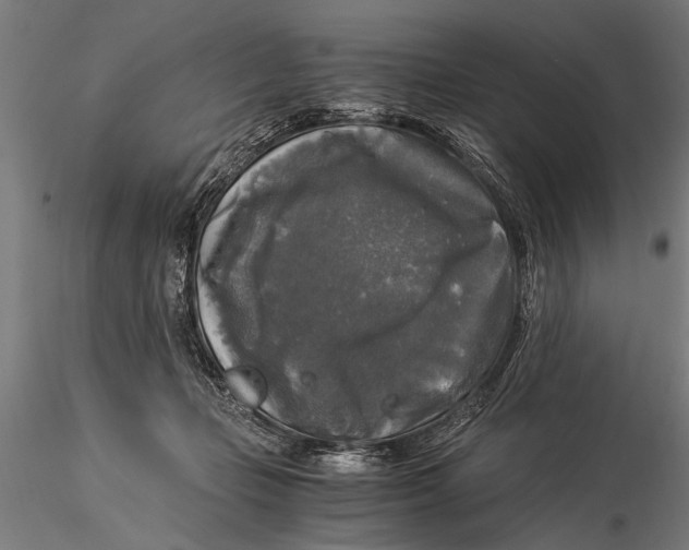 X0000116020365200912111357