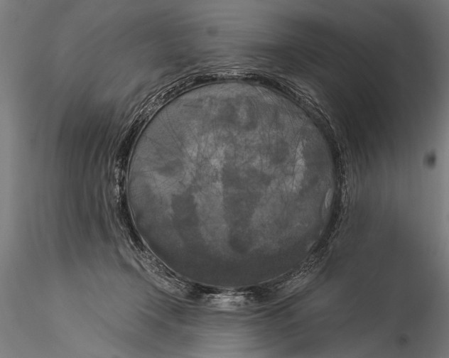 X0000116020366200912111357