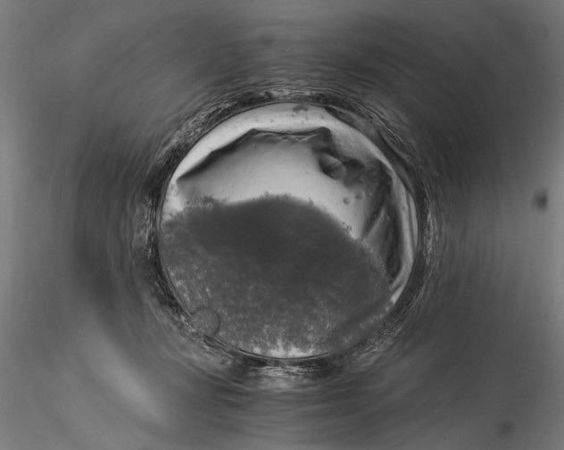 X0000116020367200912111357