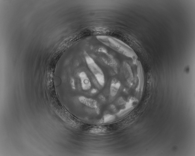 X0000116020369200912111357