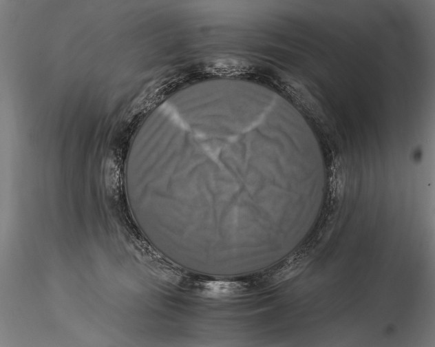 X0000116020371200912111357