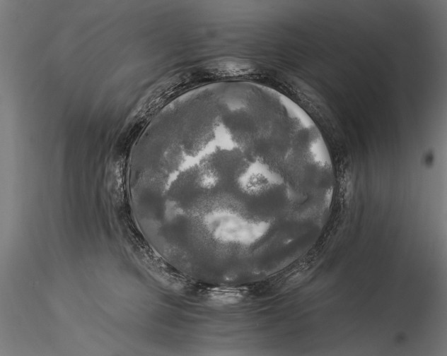 X0000116020373200912111357