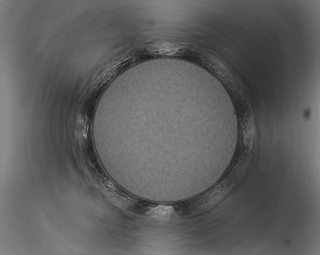 X0000116020374200912111357