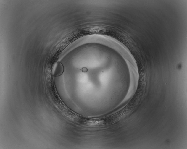 X0000116020375200912111357