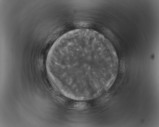 X0000116020377200912111357