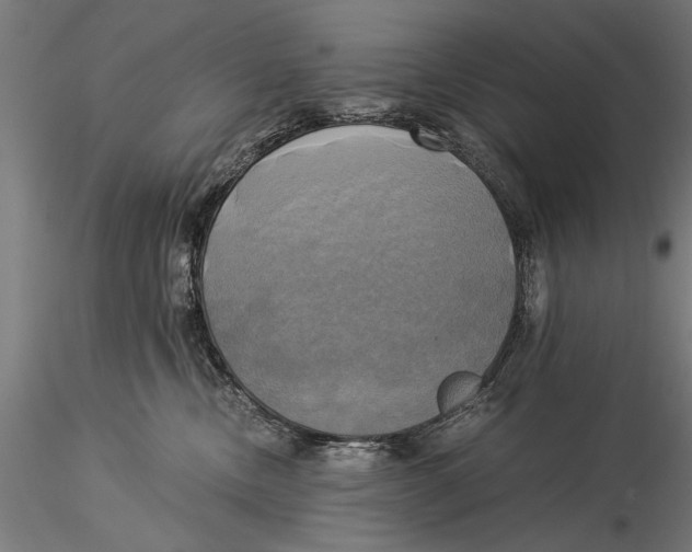 X0000116020378200912111357