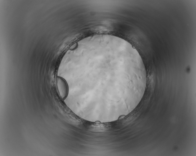 X0000116020381200912111358