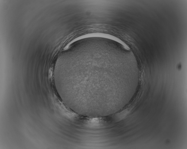 X0000116020382200912111358