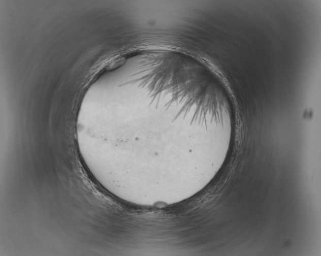 X0000116020385200912111357