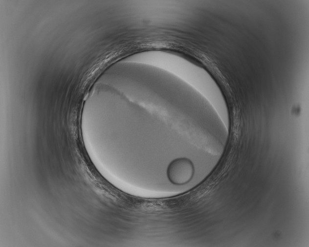 X0000116020386200912111357