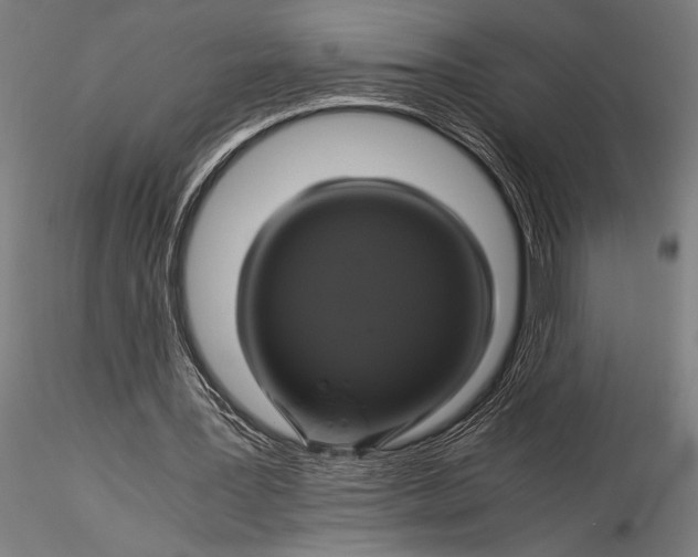 X0000116020387200912111357