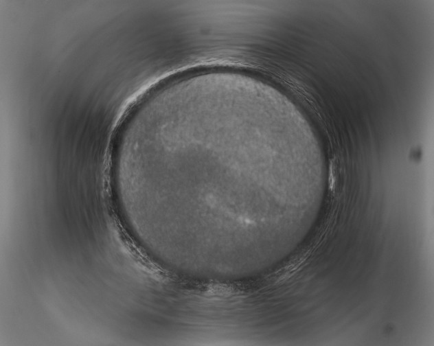 X0000116020388200912111357