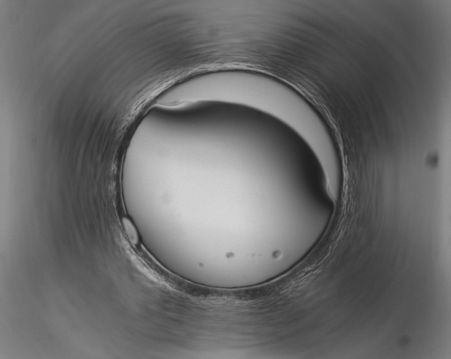 X0000116020389200912111357