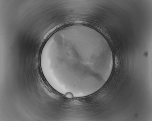 X0000116020390200912111357