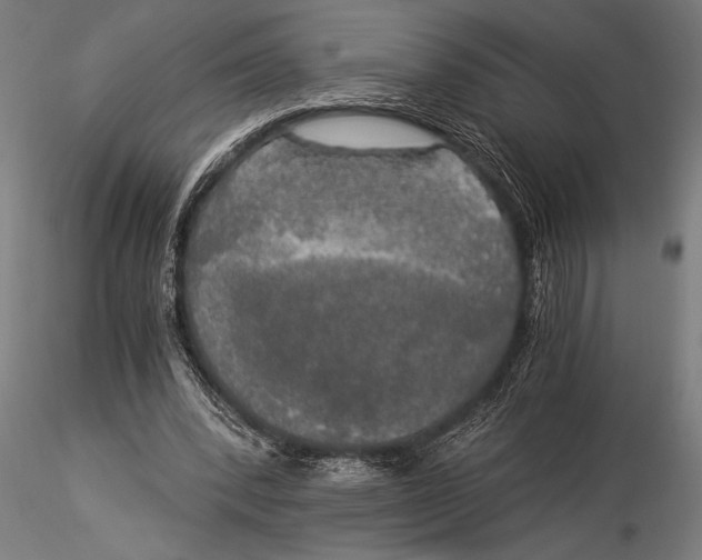 X0000116020392200912111357