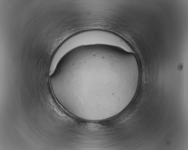 X0000116020393200912111357