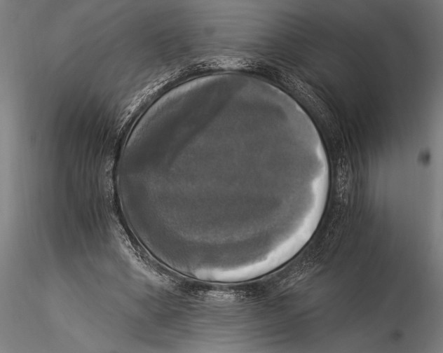 X0000116020394200912111357