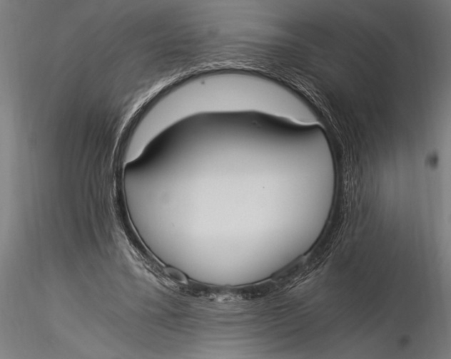 X0000116020395200912111357