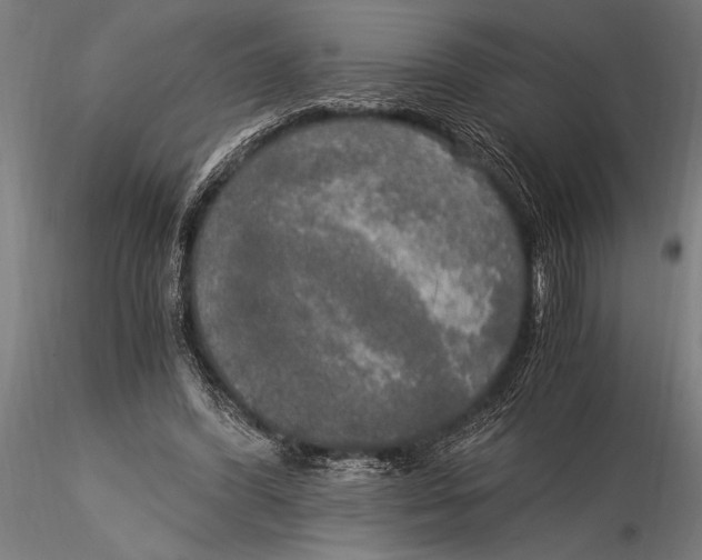 X0000116020396200912111357