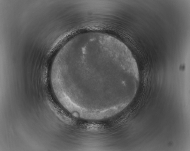 X0000116020400200912111357