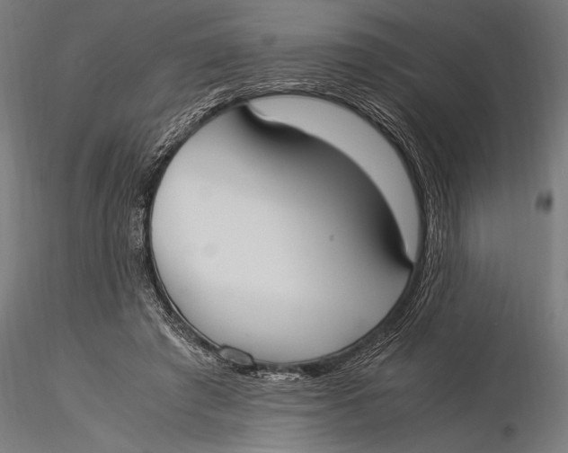 X0000116020401200912111357