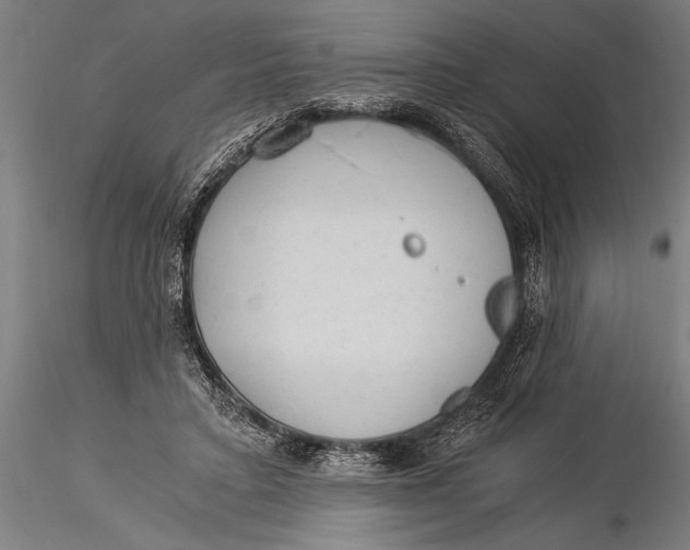 X0000116020403200912111357