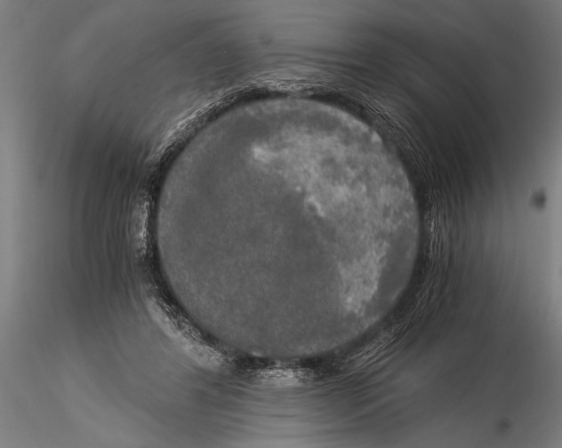 X0000116020404200912111357