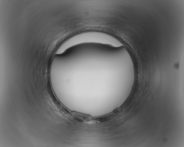 X0000116020407200912111357