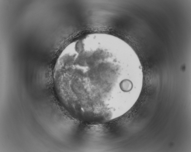 X0000116020411200912111357