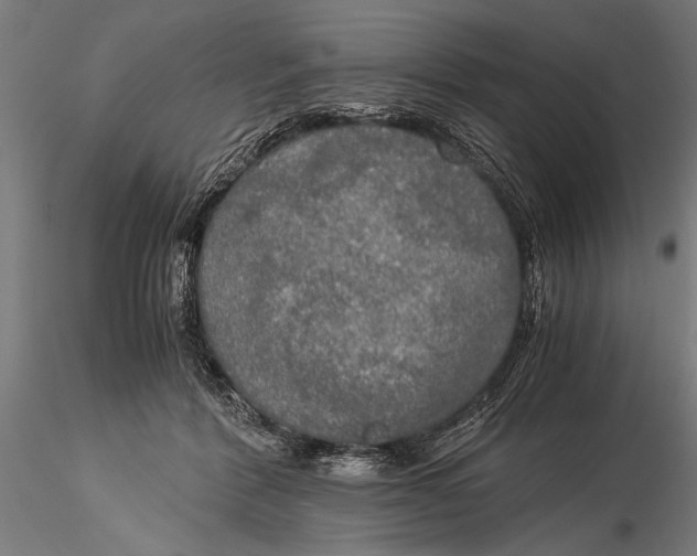 X0000116020412200912111357