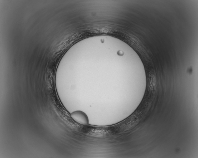 X0000116020414200912111356