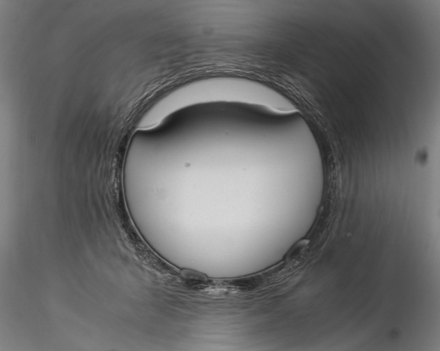 X0000116020415200912111356