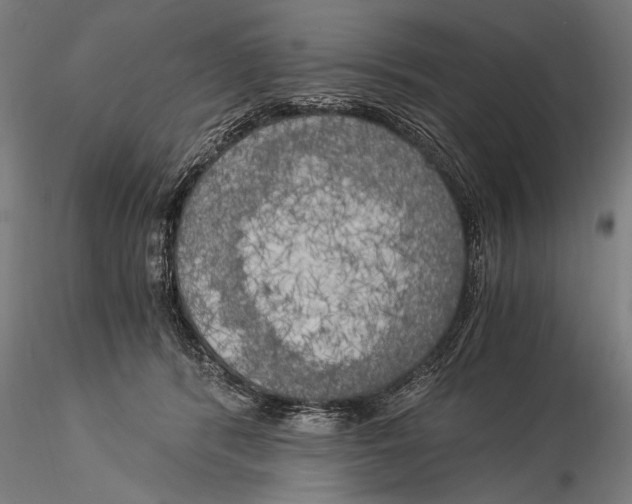 X0000116020416200912111356