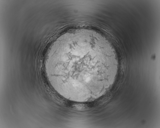 X0000116020417200912111356