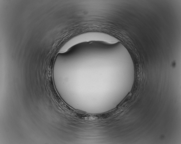 X0000116020419200912111356