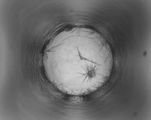 X0000116020421200912111356