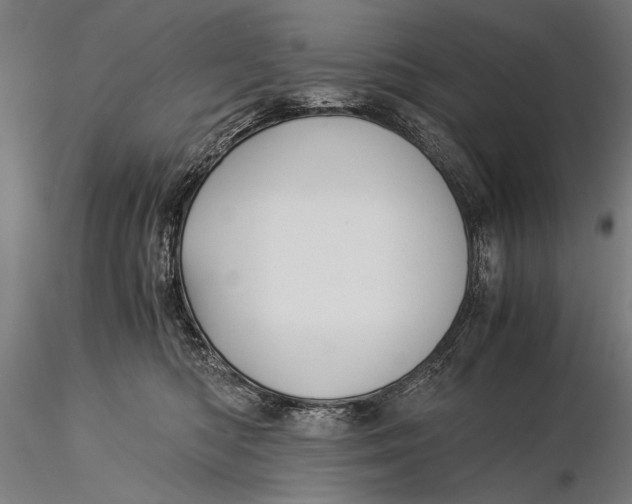 X0000116020422200912111356