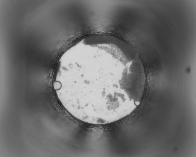 X0000116020423200912111356