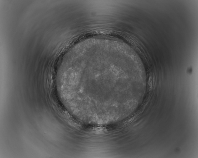 X0000116020424200912111356