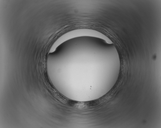 X0000116020425200912111356