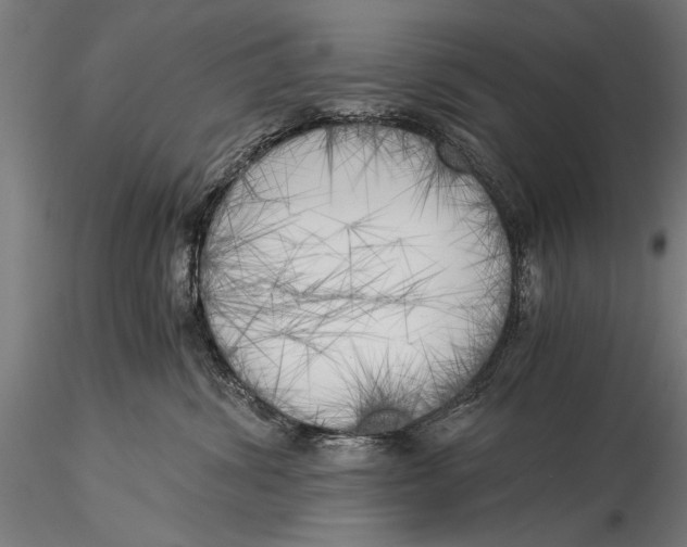 X0000116020428200912111356