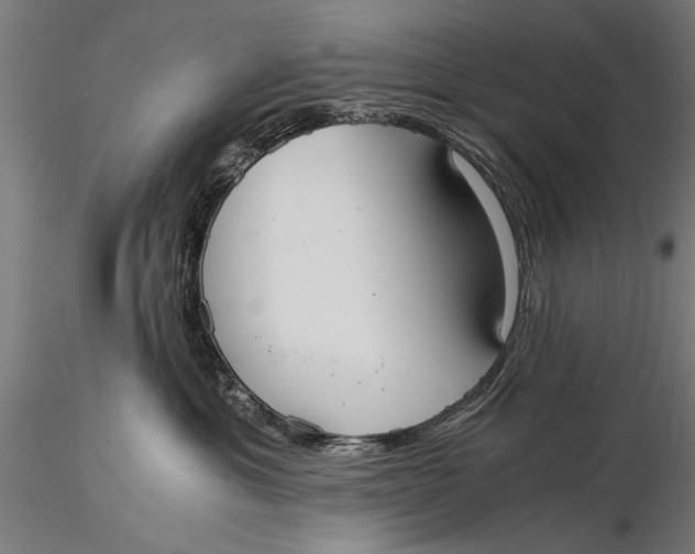 X0000116020429200912111356