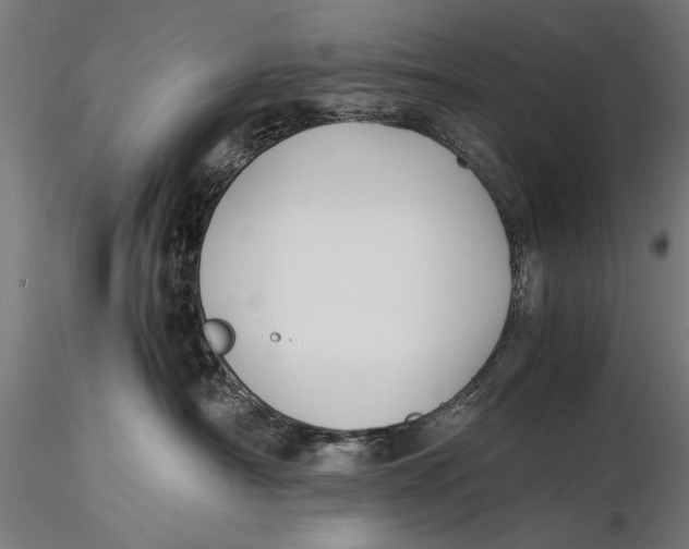 X0000116020430200912111356