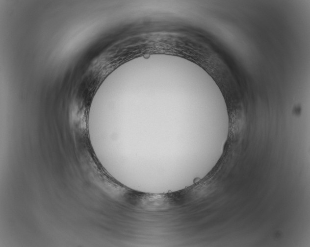 X0000116020431200912111356