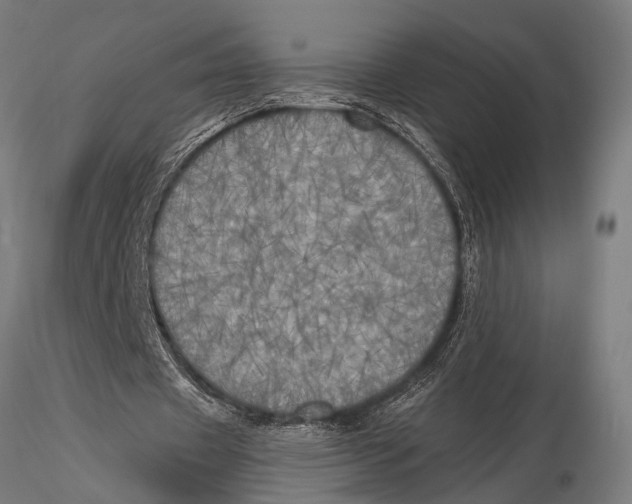 X0000116020433200912111355