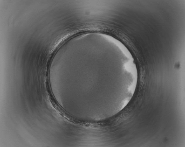 X0000116020434200912111355