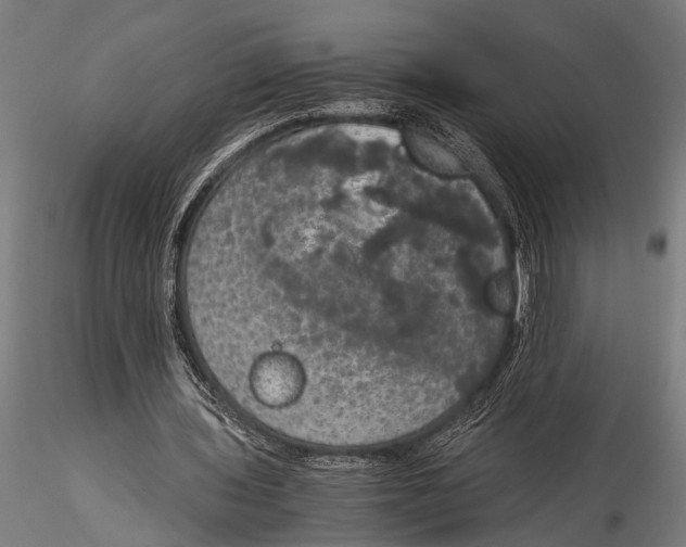 X0000116020435200912111355